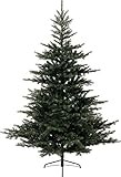 Kaemingk Grandis Tanne Künstlicher Weihnachtsbaum, Größe: 1,52, 1,82, 2,13 m; Kiefer, Fichte, Metall-Tanne, zu Weihnachten, realistisches, klassisches Naturgrün, Grandis Fir, 7ft (210cm)