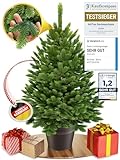 ArtiTree - Künstlicher Weihnachtsbaum im Topf - Christmas Tree für Innen und Außen, Kunstlich Baum für Weihnachtsdeko, Realistische Optik (80 cm, ohne Beleuchtung)